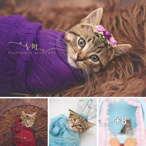 "Capturing Precious Moments: Heartwarming Photoshoot of a Loving Family