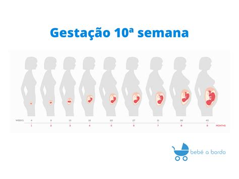Bebe De 10 Semanas De Gestação Imagens