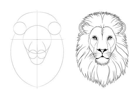 How To Draw A Lion Easy Tatyana Staples