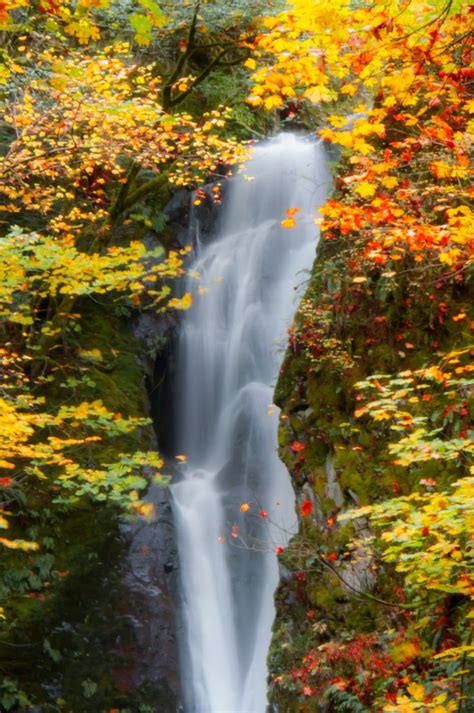 Goldstream Waterfall Waterfall Autumn Waterfalls Beautiful Photos