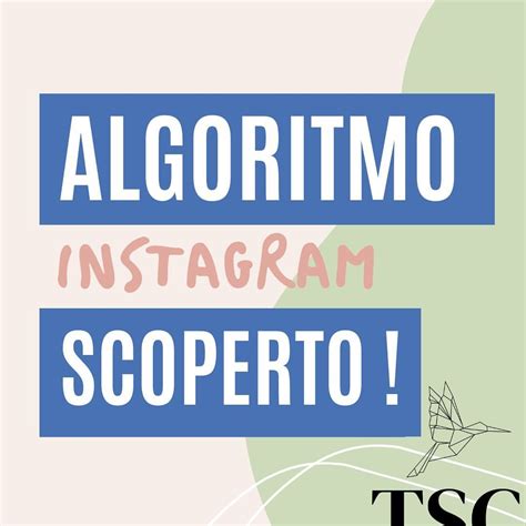 Tsc — Social Media Management Su Instagram Direttamente Da Instagram