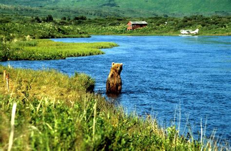 Bezienswaardigheden Kodiak Island Tioga Tours