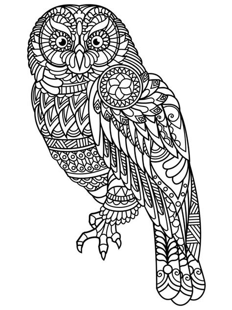 Free Owl Coloring Pages For Adults Printable To Download