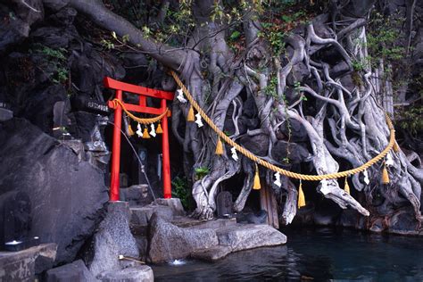 Shrine And Tree In Pool