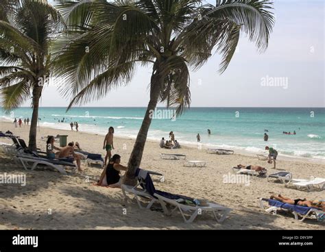 Vacationers And Palm Trees On The Beach Of Varadero Cuba 21 April