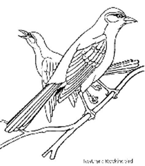 Nevada state mountain bluebird coloring page. Mountain Bluebird Coloring Page | Download Free Mountain ...