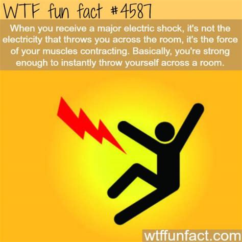 Weird Facts That Are Almost Too Crazy To Be True 25 Pics