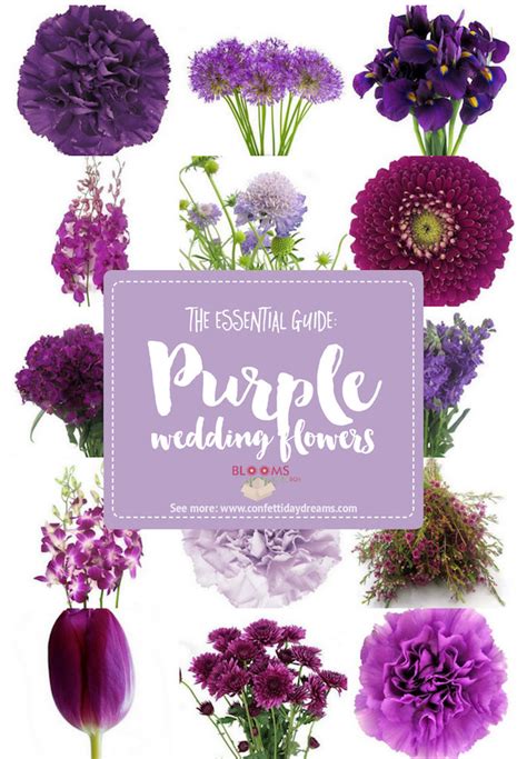 Complete Guide To Purple Wedding Flowers Purple Flower Names Pics