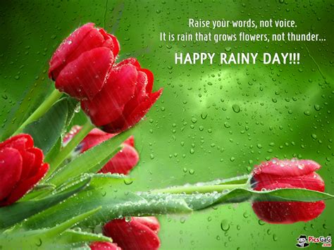 Beautiful Rainy Day Quotes Quotesgram