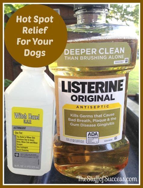 Hot Spot Relief For Your Dogs Dog Hot Spots Treatment Dog Hot Spots