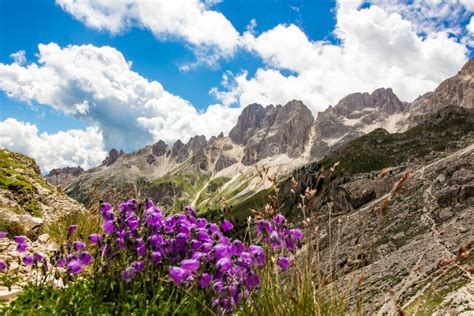 View Of The Rosengarten Group In The Dolomites Italy Stock Photo