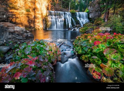 Middle fall hi-res stock photography and images - Alamy