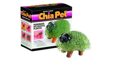 Librivox is a hope, an experiment, and a question: Chia Pets Are Back In Style For Millennial Plant Lovers