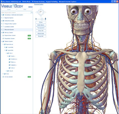 View The Human Body In 3d