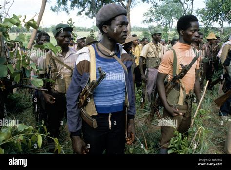 Zimbabwe Zanu Patriotic Front Troops Loyal To Robert Mugabe Come In