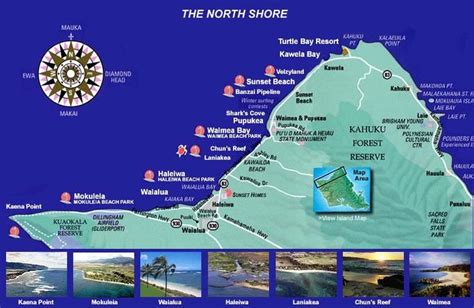 Surfing The North Shore Of Oahu Everything You Need To Know North