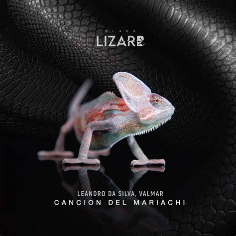 cancion del mariachi - Origami Management