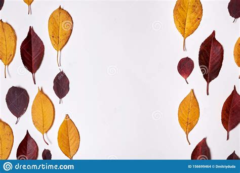 Autumn Composition Frame Made Of Red And Yellow Leaves On White