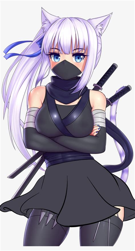 Ninja Cat Anime