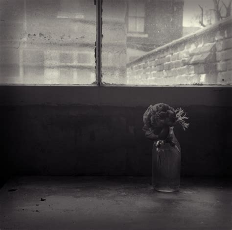 Memory Fine Art Flower Photographs By Christopher John Ball