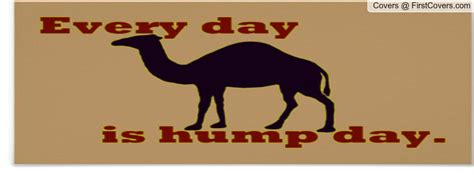 Hump Day Quotes For Facebook Quotesgram