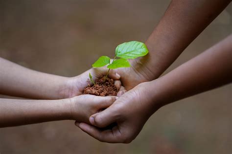 Reflexiones Sobre La Relación Humana Con La Naturaleza Vocaciones Y