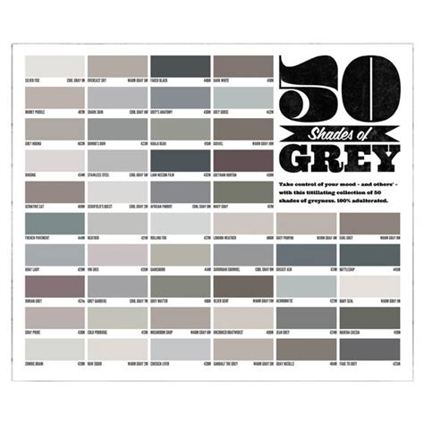 Shades Of Gray Hair Color Charts Sexiz Pix
