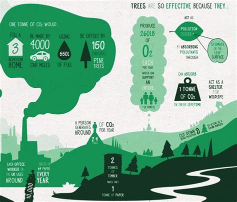 Project Urban Forest Infographic Shows How Trees Effectively Combat