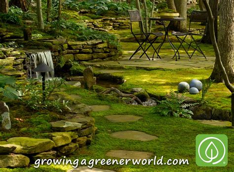 In my case, a garden that was already too crowded got hit by that provided my plants the growing environment they needed to really take off. Episode 319: Moss Gardens - Growing A Greener World®