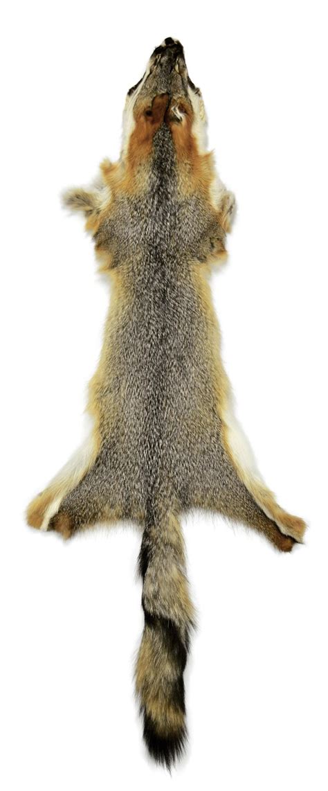 Tanned Grey Fox Fur Pelt X Large With Face And Tail
