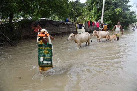 Assam Flood In Pictures Third Wave Submerges 92 Of Kaziranga National Park