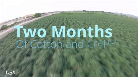 Cotton Picking Time With Some Power Loops Youtube