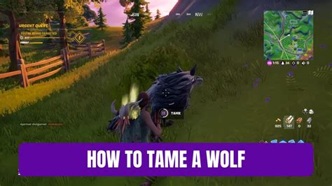 How To Tame A Wolf Fortnite Chapter 2 Season 6 Youtube