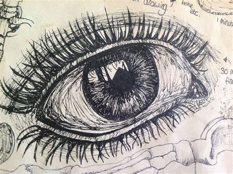 Fine Liner Drawing For Human Form As Art Eye Drawing Eye Art