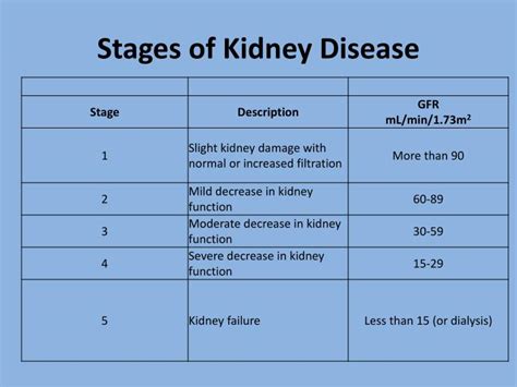 Maintenance and recovery stages of postischemic acute renal failure in humans. Low Protein Levels In Renal Failure | All Articles about ...