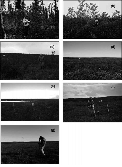 Photographs Of The Study Sites A Subarctic Boreal