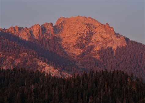 Alta Peak Alpenglow Sequoia National Park Photograph By Brett Harvey