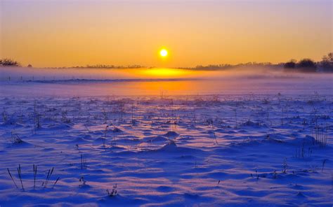 Winter Snow Horizon Fog Field Sunrise Sunset Wallpaper 2560x1600