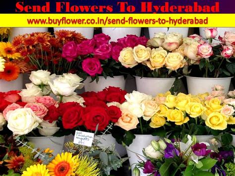 Gifts to hyderabad, gifts to india, cakes, flowers, sweets, toys. We are 24x7 hours available for send flowers to Hyderabad ...