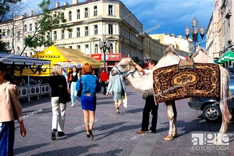 Russia Moscow Old Arbat Street Street Scene With Camel Stock Photo