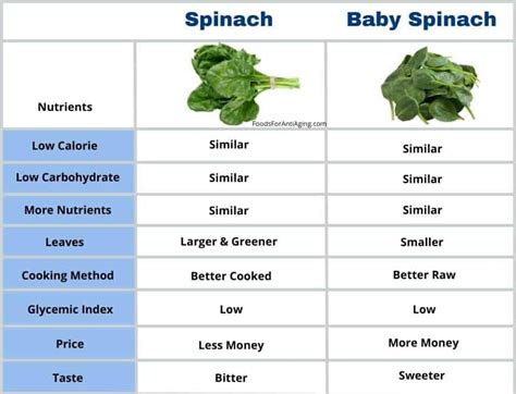 Baby Spinach Vs Spinach Which Is Better A Comparison