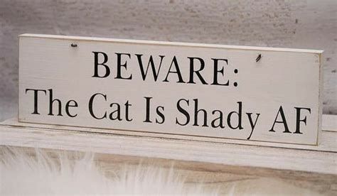Pin By Tlc Cleaning And Organizationa On Animal Care Cat Signs Pet