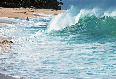 Sunset Beach Hawaii North Shore Sunset Beach Surf Report Live Surf