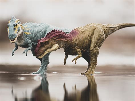 The Albertosaurus Rdinotoys