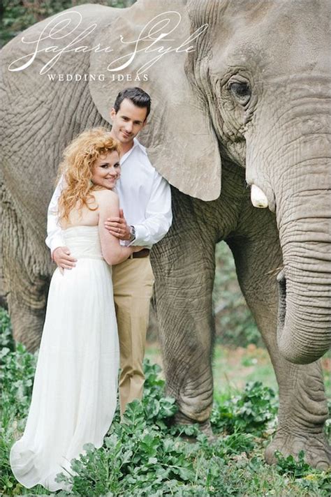 African Safari Wedding Ideas Safari Wedding Elephant Wedding Unique