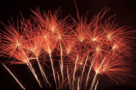 Fileexploding Flower Bed Fireworks Wikimedia Commons