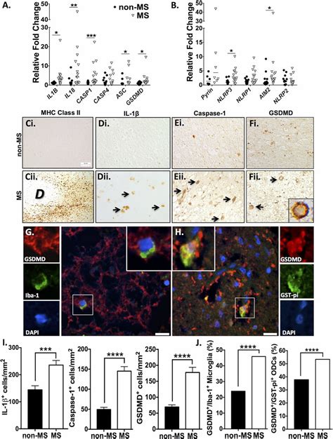 Caspase Inhibition Prevents Glial Inflammasome Activation And Pyroptosis In Models Of Multiple