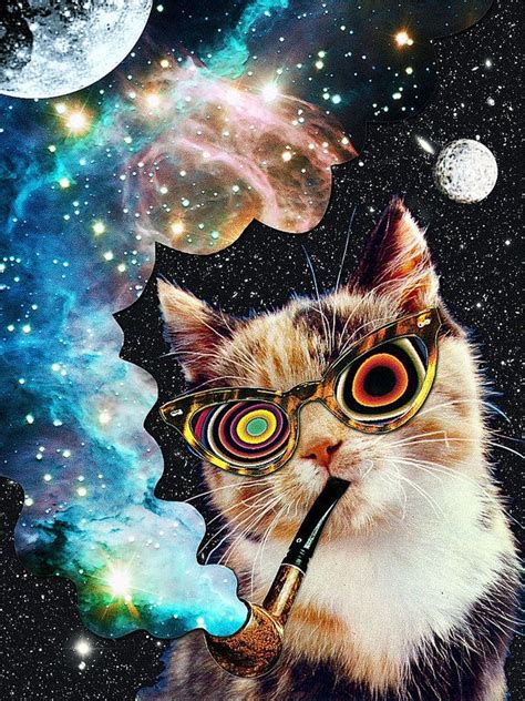 High Cat Cat Art Print Cat Art Psychedelic Art