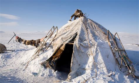 Traditional Life In The Siberian Arctic In Pictures World News