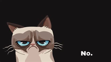 Grumpy Cat Wallpapers Top Free Grumpy Cat Backgrounds